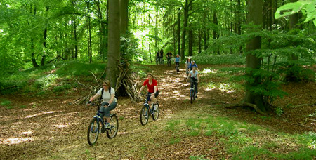 Radfahrer unterwegs im Reinhardswald