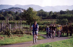Radissimo Radfahrer