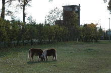 Rüterberg ehemaliges Grenzdorf
