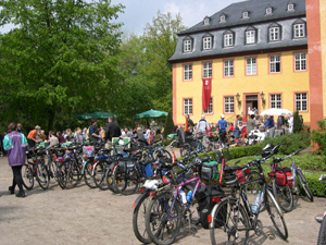 Vogelsberg